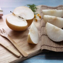 20th Century (Nijisseiki) Asian Pear Tree -Green Plant Store 20thCentury Pear 1 FGT 6807a32e cb1f 4918 97d7 0be553512605