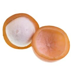 Achacha Fruit Tree 7 Achacha Fruit Tree -Green Plant Store Achacha 2