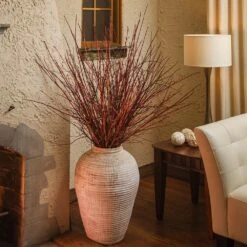 Arctic Fire® Red Twig Dogwood 12 Arctic Fire® Red Twig Dogwood -Green Plant Store Arctic Fire Twig Dogwood 6 FGT