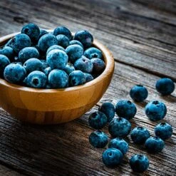 Aurora Blueberry Bush - USDA Organic -Green Plant Store Aurora Blueberry 4 dc5a7e17 d7e4 4799 b1b9 177f422f6847