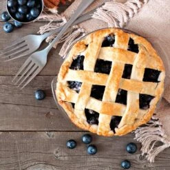 Aurora Blueberry Bush - USDA Organic -Green Plant Store Aurora Blueberry 5 112457a4 3811 4866 87c8 269c657283bf