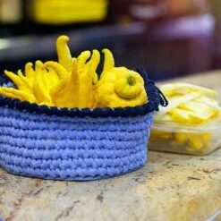 Buddha's Hand Citron Tree -Green Plant Store BUddhas Hand Citrus 6 FGT 8e440ac0 ef1a 452e 8576 5c1e7bf4eb5a