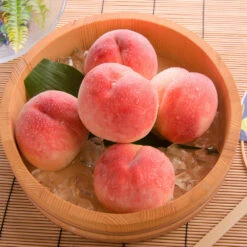 Babcock Peach Tree -Green Plant Store Babcock Peach 1