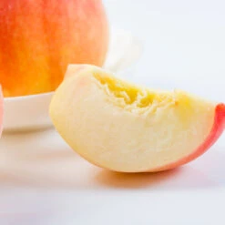 Belle Of Georgia Peach Tree 9 Belle Of Georgia Peach Tree -Green Plant Store Belle of Georgia 3 ea75db8c 1c8e 47c4 9aac 3f7fe043655e