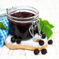 Big Daddy Blackberry Bush -Green Plant Store Big Daddy Blackberry 3