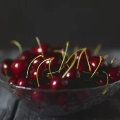 Black Tartarian Cherry Tree 10 Black Tartarian Cherry Tree -Green Plant Store Black Tartarian Cherry Tree 2 FGT