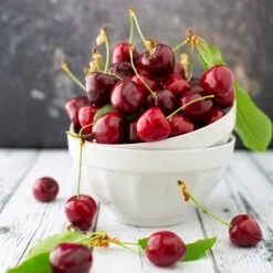 Brooks Cherry Tree -Green Plant Store Brooks Cherry Tree 5 FGT