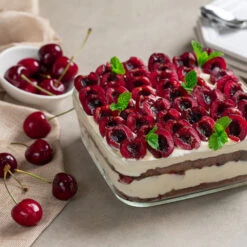 Brooks Cherry Tree -Green Plant Store Brooks Cherry Tree 6 FGT