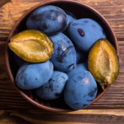 Brooks Plum Tree -Green Plant Store Brooks Plum 2