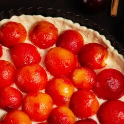 Bubblegum 'Toka' Plum Tree -Green Plant Store Bubblegum Toka Plum 3