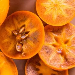 Chocolate Persimmon Tree 7 Chocolate Persimmon Tree -Green Plant Store CHocolate Persimmon 2