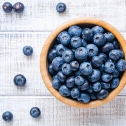 Climax Blueberry - USDA Organic 13 Climax Blueberry - USDA Organic -Green Plant Store Climax Blueberry 4 6dff9fe5 d11c 4867 ac6f bf49cd37acb5