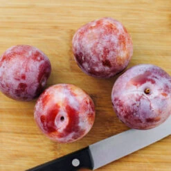 Dapple Dandy Pluot Tree -Green Plant Store Dapple Dandy 2