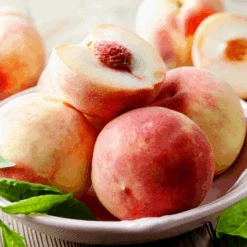 Early White Giant Peach Tree -Green Plant Store Early White Giant Peach Tree 450 D1