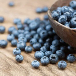 Emerald Blueberry Bush 7 Emerald Blueberry Bush -Green Plant Store Emerald Blueberries 1