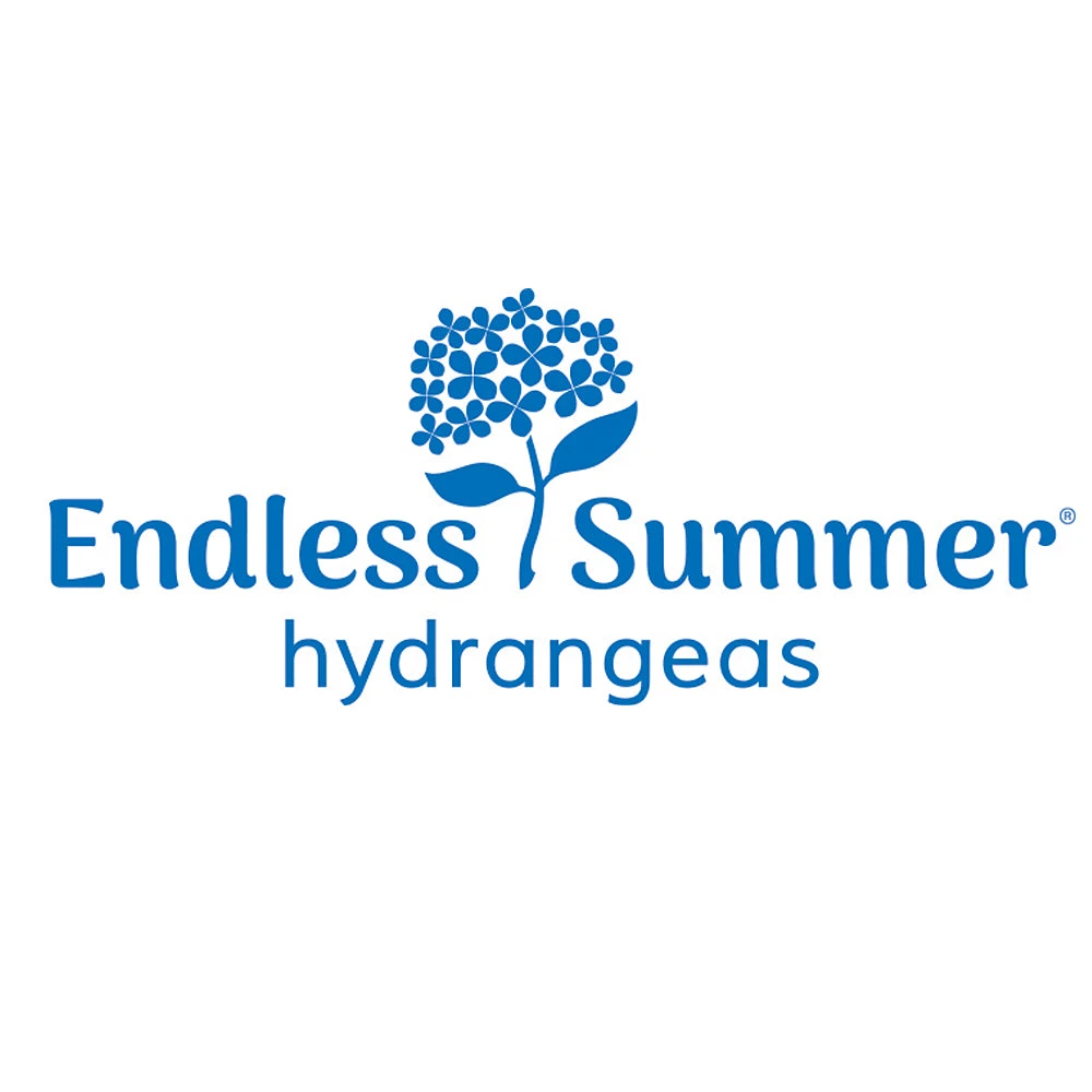 Endless Summer® Summer Crush® Hydrangea 9 Endless Summer® Summer Crush® Hydrangea - Image 7