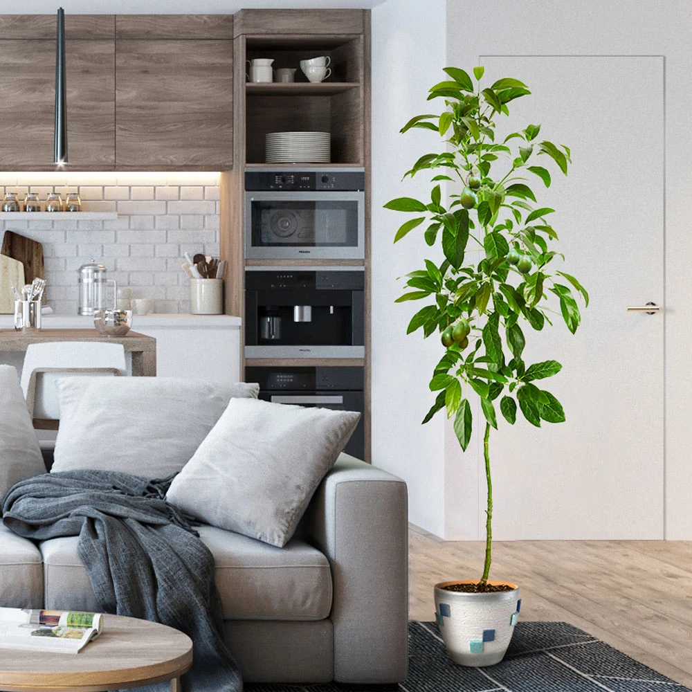 Smoothie Kit 7 Smoothie Kit - Image 6