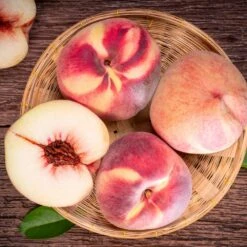 Indian Free White Peach Tree 9 Indian Free White Peach Tree -Green Plant Store Indian Free Peach 3 FGT