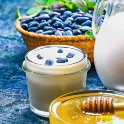 Indigo Gem Haskap (Honeyberry) -Green Plant Store Indigo GEm Haskap 1