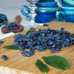 Indigo Treat Haskap (Honeyberry) -Green Plant Store Indigo Treat Hascap 2 BB