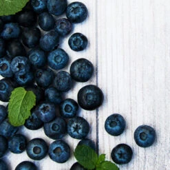 Jewel Blueberry Bush -Green Plant Store Jewel Blueberry 2