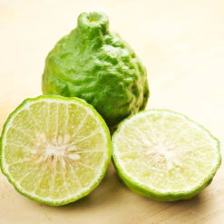 Kaffer 'Kieffer' Lime Tree 10 Kaffer 'Kieffer' Lime Tree -Green Plant Store Kaffir Lime 7 FGT