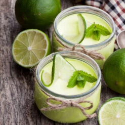 Key Lime Tree - USDA Organic 12 Key Lime Tree - USDA Organic -Green Plant Store Key Lime Tree 4 FGT 8c9c096a 80b3 4ead b08e 43cfbd23c3a2