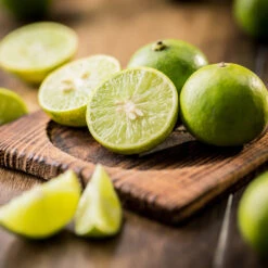 Key Lime Tree 13 Key Lime Tree -Green Plant Store Key Lime Tree 5 FGT