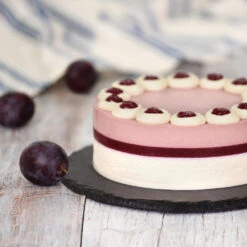 Methley Plum Tree -Green Plant Store Methley Plum 5 d1cf4da0 c7c8 4a54 8dce 9916c07f2fa6