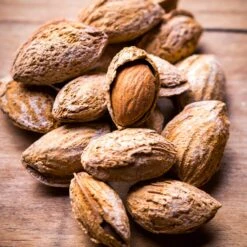 Nonpareil Almond Tree 10 Nonpareil Almond Tree -Green Plant Store Nonpareil Almonds 3