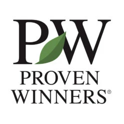 At Last® Rose -Green Plant Store PW Logo 1000x1000 8b6e2b7a a0b1 4cee bae5 cf9f0bc763d3