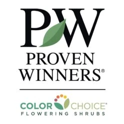 Spilled Wine® Weigela Shrub 11 Spilled Wine® Weigela Shrub -Green Plant Store PW Logo CC 1000x1000 5ab0df04 a14c 4d8e aa3c ddfbfdc110b0