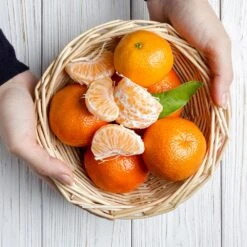 Page Mandarin Tree -Green Plant Store Page Mandarin Tree 2 FGT