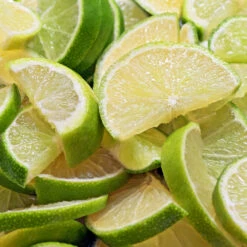 Persian 'Bearss' Lime Bush 10 Persian 'Bearss' Lime Bush -Green Plant Store Pursian Lime Bush 1 FGT 8e948345 4f0b 4e96 a96f a17b7b31b7ab