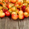 Rainier Cherry Tree 2 Rainier Cherry Tree -Green Plant Store Rainier Cherry Tree FGT 600x600 1094475e 5dab 4191 8167 5c5a6519bb91