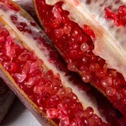 Red Finger Lime Tree 11 Red Finger Lime Tree -Green Plant Store Red FInger Lime 1 1453b836 c1a1 4844 92f1 11e49d09cc4d