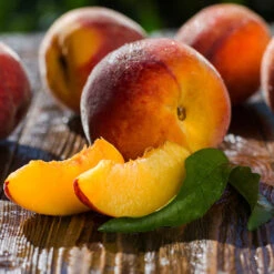 Red Baron Peach Tree 11 Red Baron Peach Tree -Green Plant Store Red Baron Peach 4