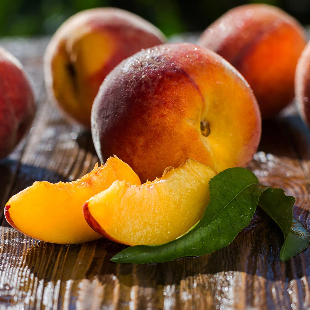 Red Baron Peach Tree 7 Red Baron Peach Tree - Image 5