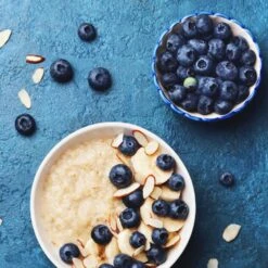 Reveille Blueberry Bush 7 Reveille Blueberry Bush -Green Plant Store Reville Blueberry 2