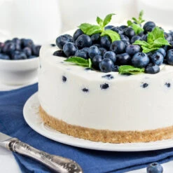 Sunshine Blue Blueberry Bush -Green Plant Store SUnshine BLue Blueberry 4