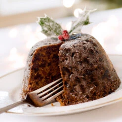 Satsuma Plum Tree -Green Plant Store Satsuma Plum 4