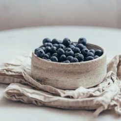 Sharpblue Blueberry Bush -Green Plant Store Sharpblue Blueberry 1