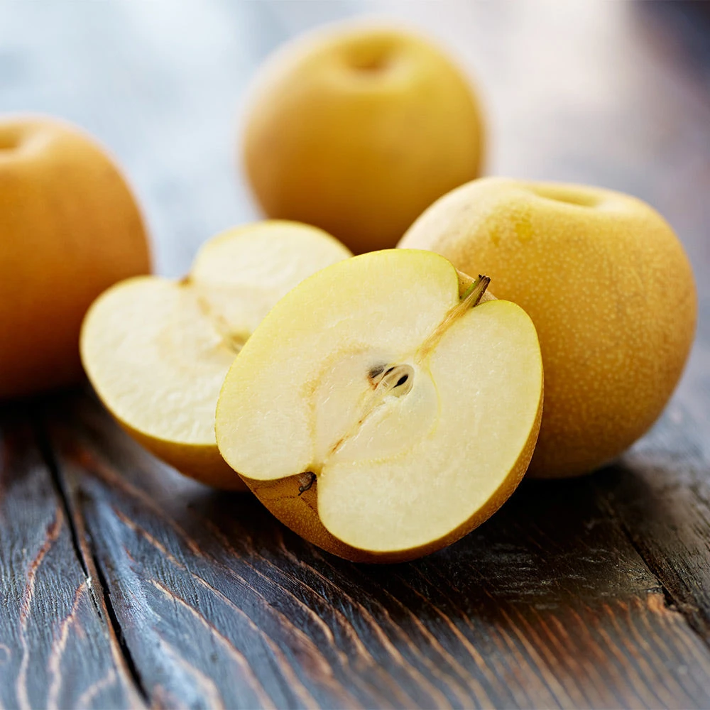 Shinseiki Asian Pear 6 Shinseiki Asian Pear - Image 4