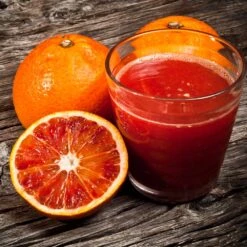 Smith Red Orange -Green Plant Store Smith Red Orange 3 FGT