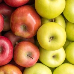 4-in-1 Apple Surprise Tree 8 4-in-1 Apple Surprise Tree -Green Plant Store Surprise Apple 1 fd4b319d eb68 4ca8 b9dc 6ed8dd5560c3