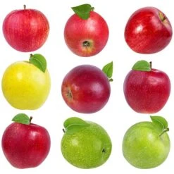 Green Plant Store 33 2-in-1 Apple Surprise Tree