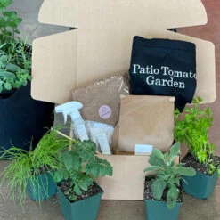 Patio Tomato Garden -Green Plant Store Tomato Garden kit 2