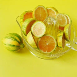 Pink Variegated Eureka Lemon Tree -Green Plant Store Variegated Pink Eureka 3 fc1d5a93 7ca6 443b a4e9 221de3f12f84