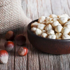 York Filbert Hazelnut -Green Plant Store York Hazelnut 5